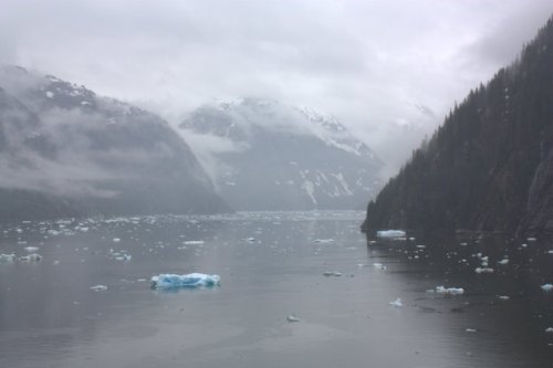 IMG_1204